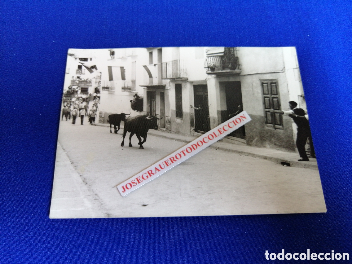 Photographie ancienne: TOROS PUEBLO BOUS AL CARRER FOTOGRAF&Iacute;A ANTIGUA