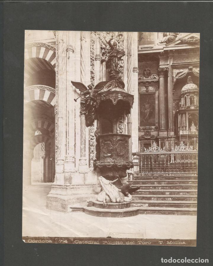 Antique Photography: CORDOBA-CATEDRAL PULPITO DEL TORO-T.MOLINA-FOTOGRAFIA ANTIGUA-VER FOTOS-(K-10.719)