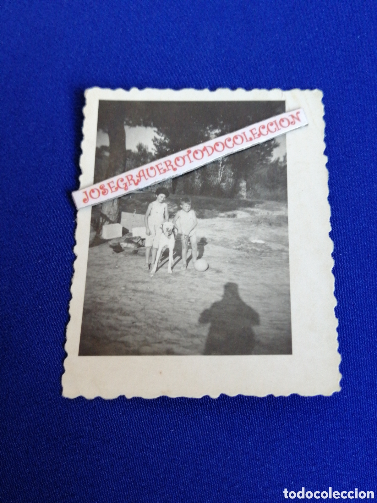 Photographie ancienne: NI&Ntilde;OS MODELOS CON PERRO Y PELOTA FOTOGRAF&Iacute;A ANTIGUA