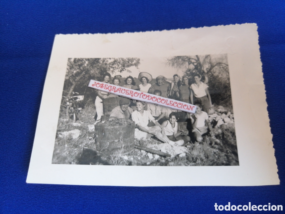 Alte Fotografie: BENDIMIA A&Ntilde;O 1960 AGRICULTORES CON COSECHA FOTOGRAF&Iacute;A ANTIGUA