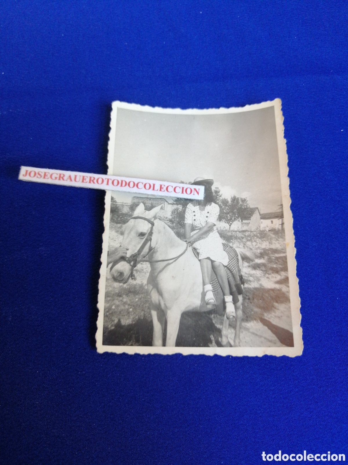 Fotografia antica: MODELO CON CABALLO POSANDO FOTOGRAF&Iacute;A ANTIGUA