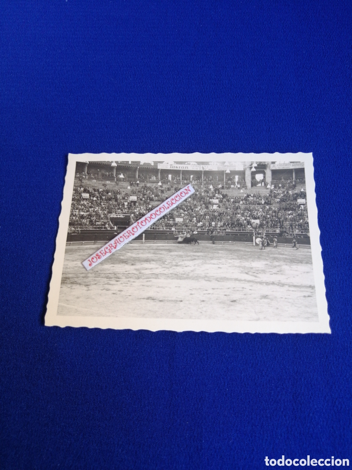 Fotografia antica: PLAZA DE TOROS - CON TOREROS FOTOGRAF&Iacute;A ANTIGUA