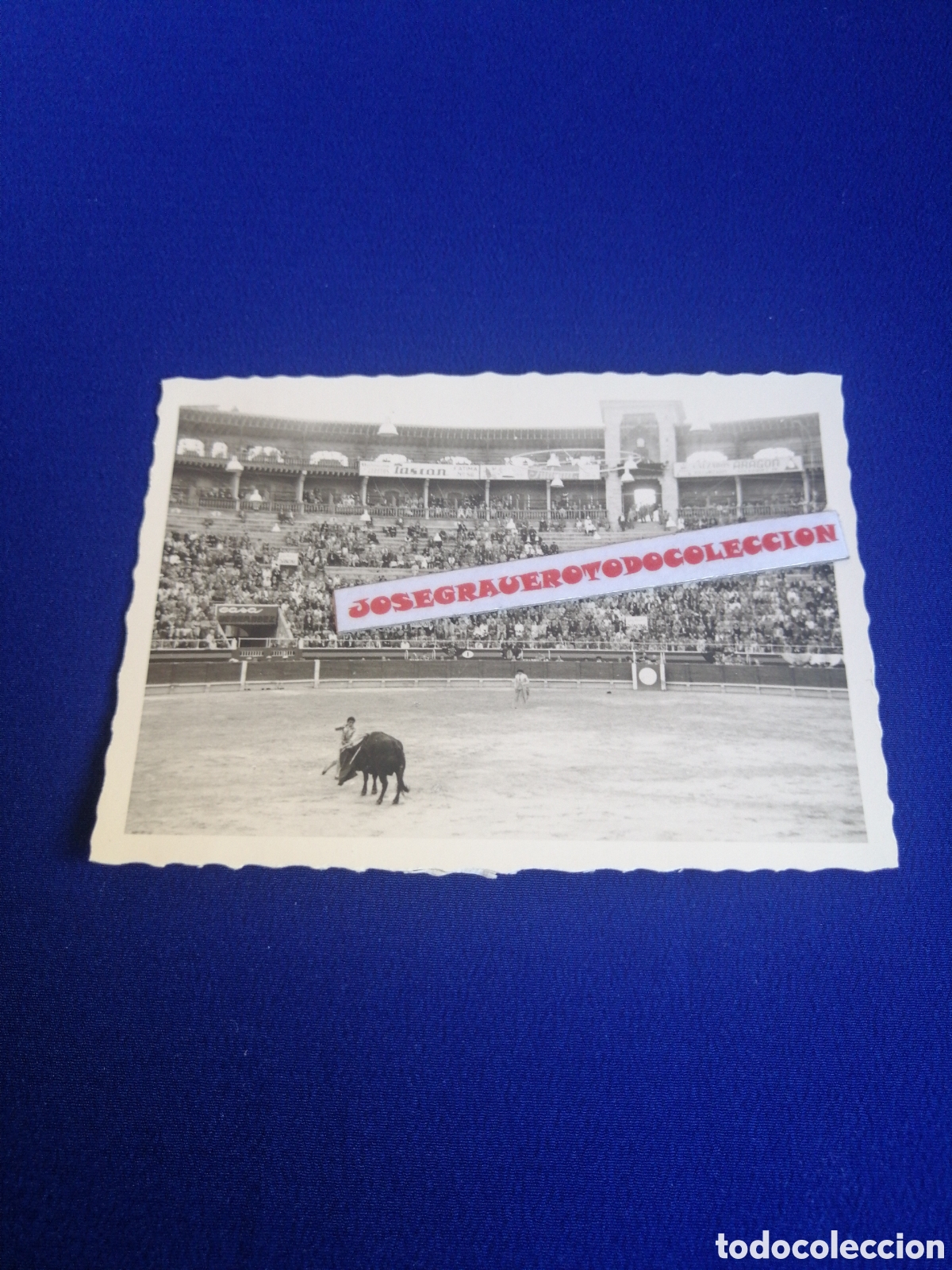 Fotografia antica: PLAZA DE TOROS - TOROS - TOREANDO FOTOGRAF&Iacute;A ANTIGUA