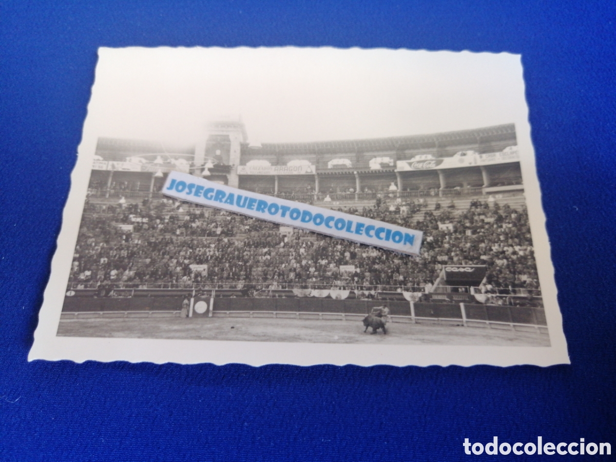 Fotografia antica: PLAZA DE TOROS-TOROS - TOREROS FOTOGRAF&Iacute;A ANTIGUA
