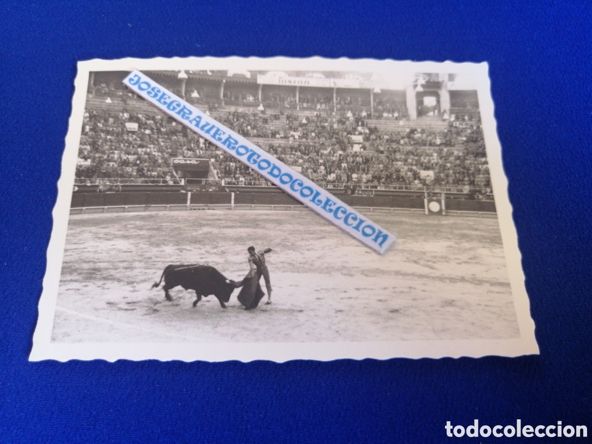 Fotografia antica: PLAZA DE TOROS - TORO-TOREROS FOTOGRAF&Iacute;A ANTIGUA