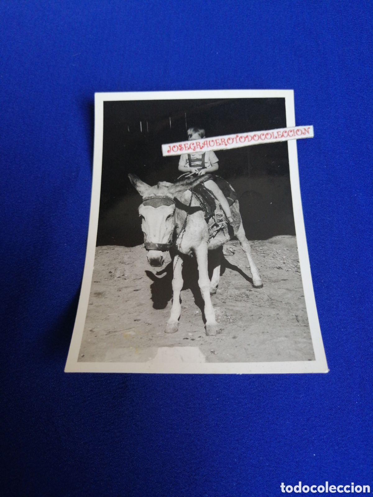 Photographie ancienne: NI&Ntilde;O MODELO EN BURRO FOTOGRAF&Iacute;A ANTIGUA