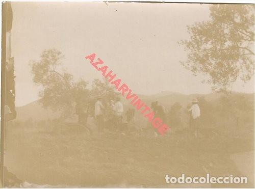 Fotografia antica: SIGLO XIX, ALBUMINA, ESCENA DE VERDEO DE ACEITUNAS EN EL CAMPO, RARA, 110X88MM