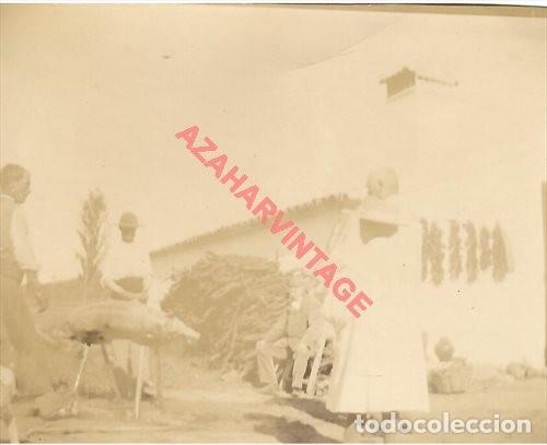 Antique Photography: SIGLO XIX, ALBUMINA, ESCENA CAMPESTRE, MATANZA DEL CERDO, 110X88MM