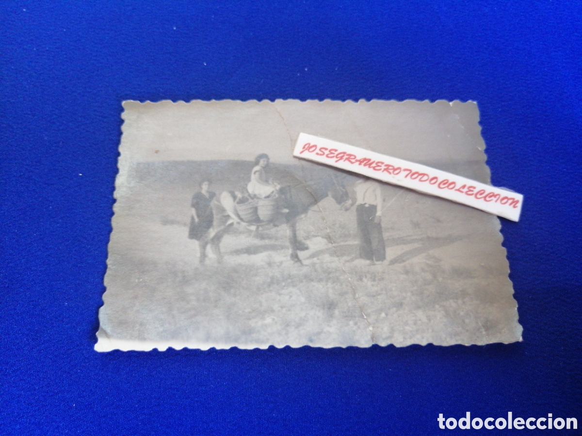 Alte Fotografie: MODELOS CON BURRO POSANDO FOTOGRAF&Iacute;A ANTIGUA