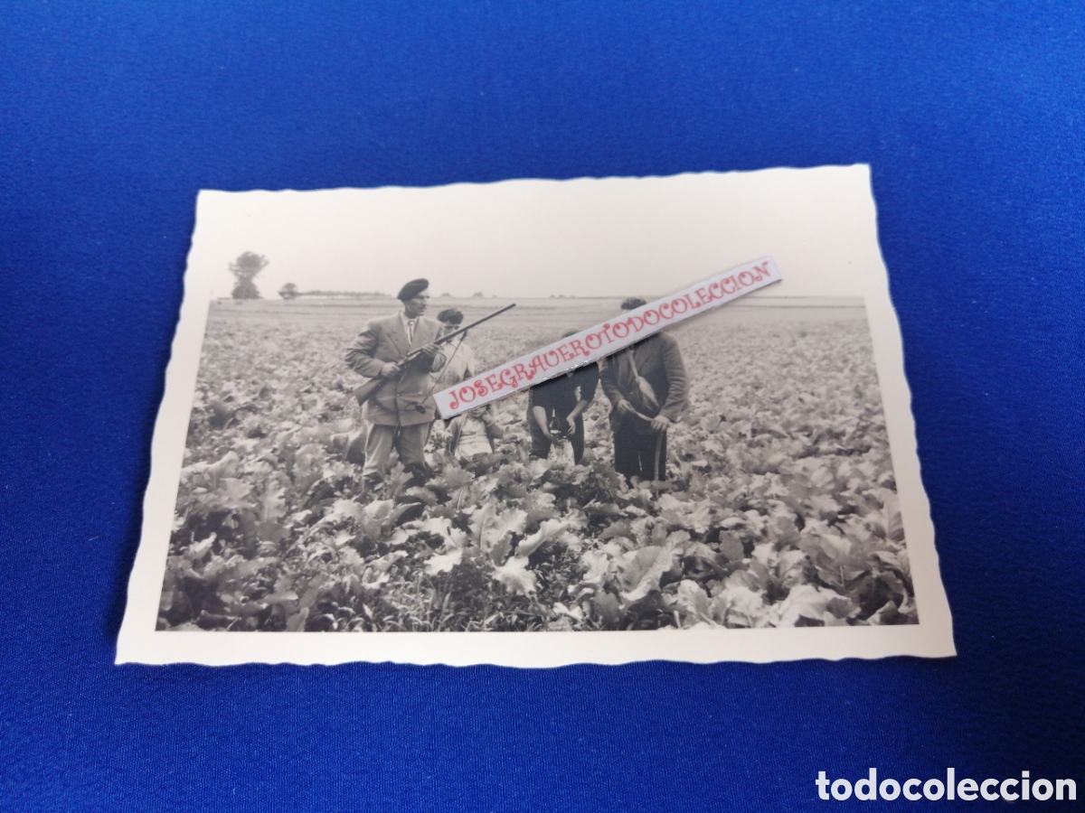 Fotografia antica: CAZADORES POSANDO FOTOGRAF&Iacute;A ANTIGUA