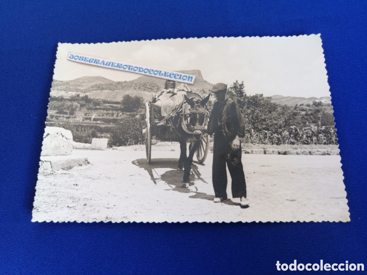 Alte Fotografie: CARRO NI&Ntilde;OS CON BURRO FOTOGRAF&Iacute;A ANTIGUA