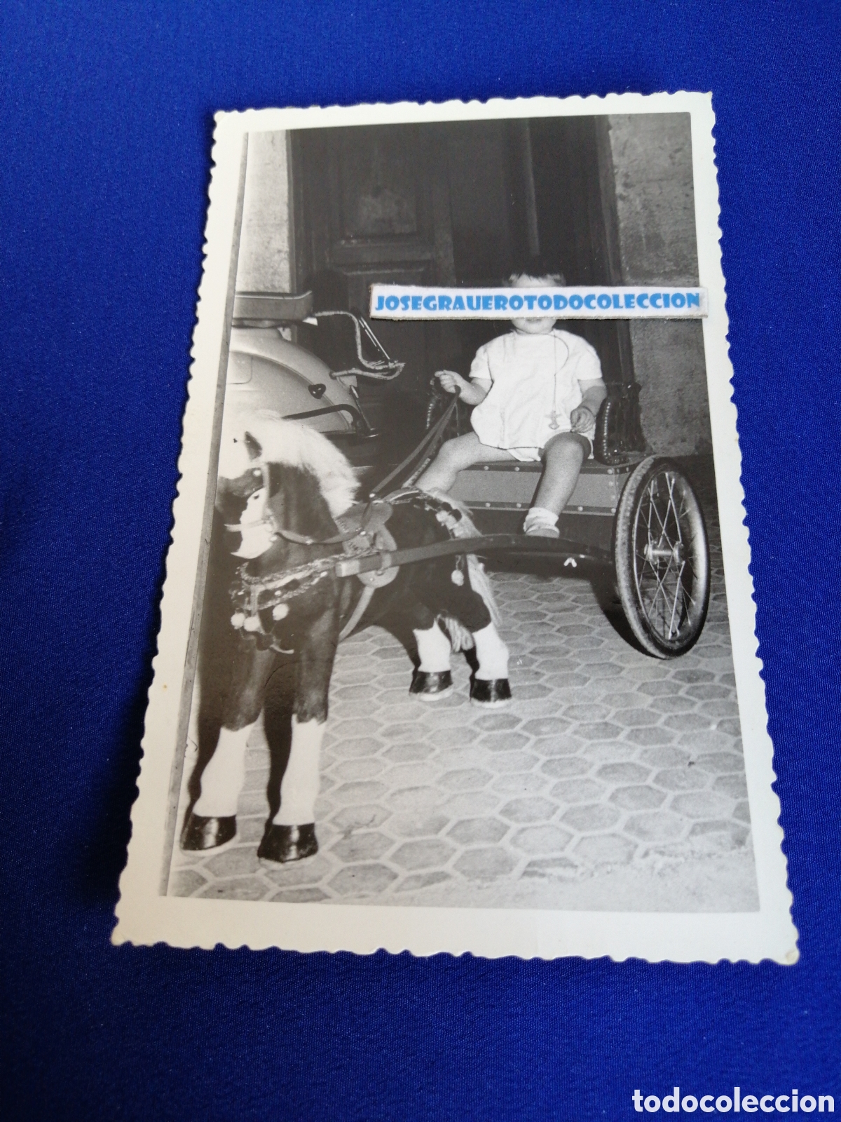 Fotografia antica: NI&Ntilde;O MODELO CON CABALLO JUGUETE A&Ntilde;O 1961 FOTOGRAF&Iacute;A ANTIGUA