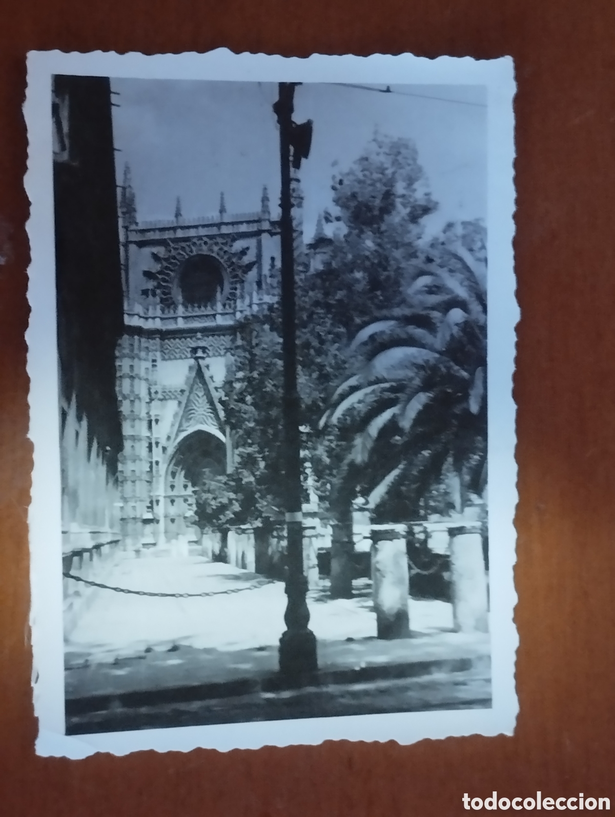Fotografia antiga: Fotograf&iacute;a de la Catedral de Sevilla a&ntilde;os 50