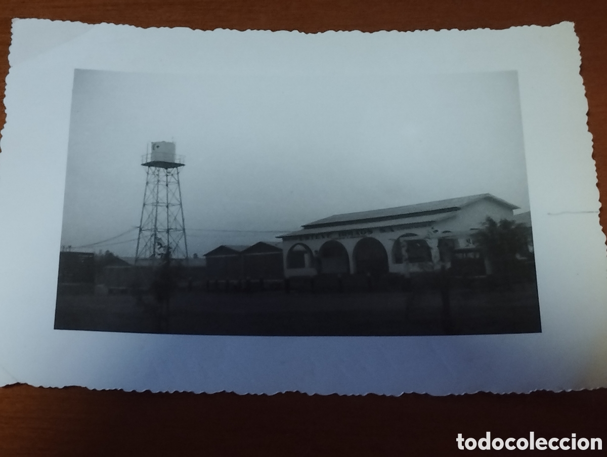 Fotografia antiga: Fotos de una Acienda en Brasil ESTEVE IRMAOS S.A. 1955