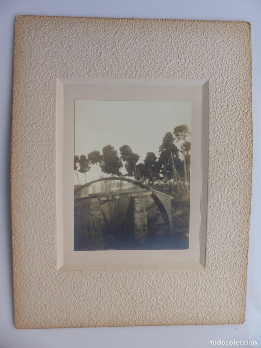 Antique Photography: DESCONOCIDA - ANTIGUA FOTOGRAFIA, c.1910-1920