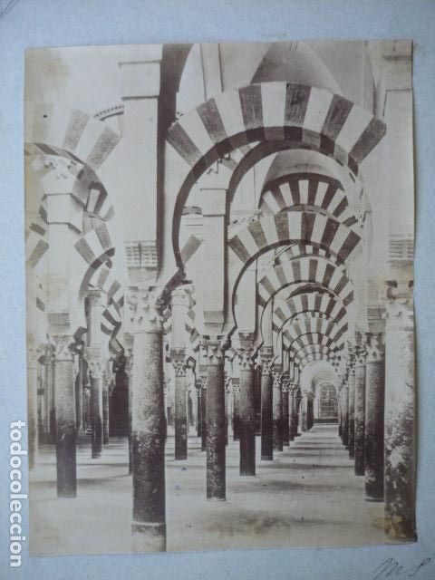 Fotograf&iacute;a antigua: CORDOBA INTERIOR MEZQUITA MOLINA FOTOGRAFO ALBUMINA SIGLO XIX 22 X 17 CM