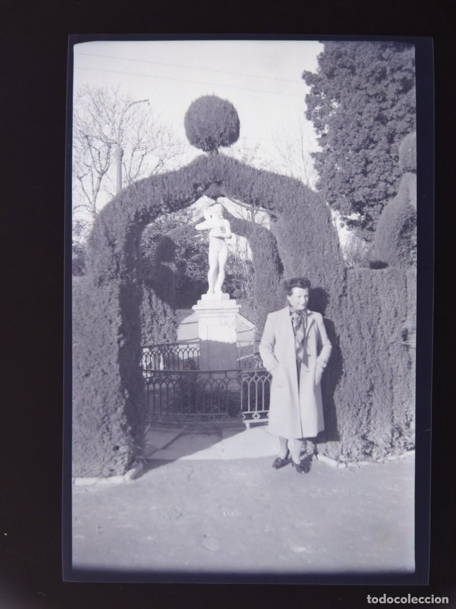 Antique Photography: VALENCIA, VIVEROS - CLICHE NEGATIVO EN CELULOIDE, c.1920-1930