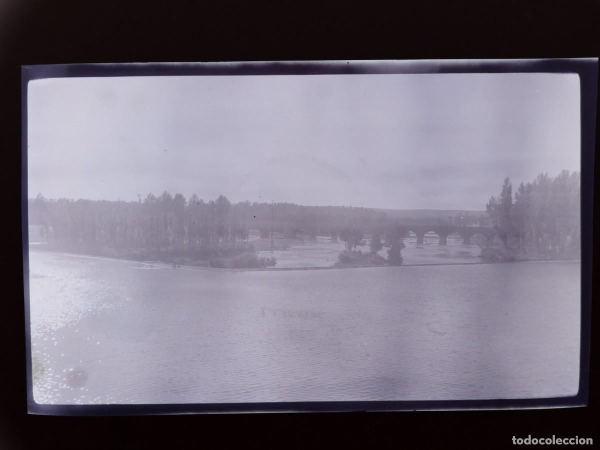 Antique Photography: DESCONOCIDA - CLICHE NEGATIVO EN CELULOIDE, c.1920-1930