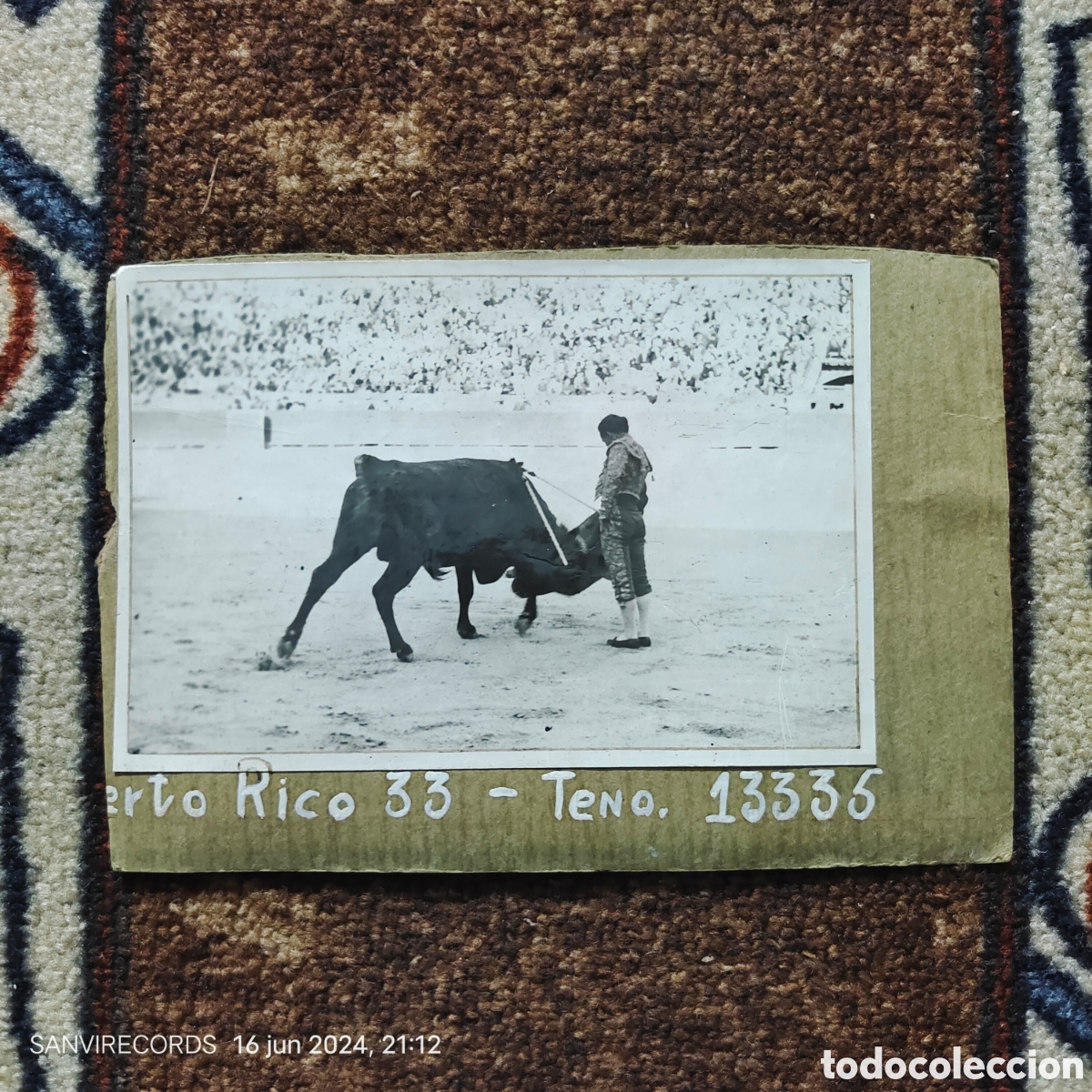 Antique Photography: FOTO/ESTAMPA TOROS, PUERTO RICO