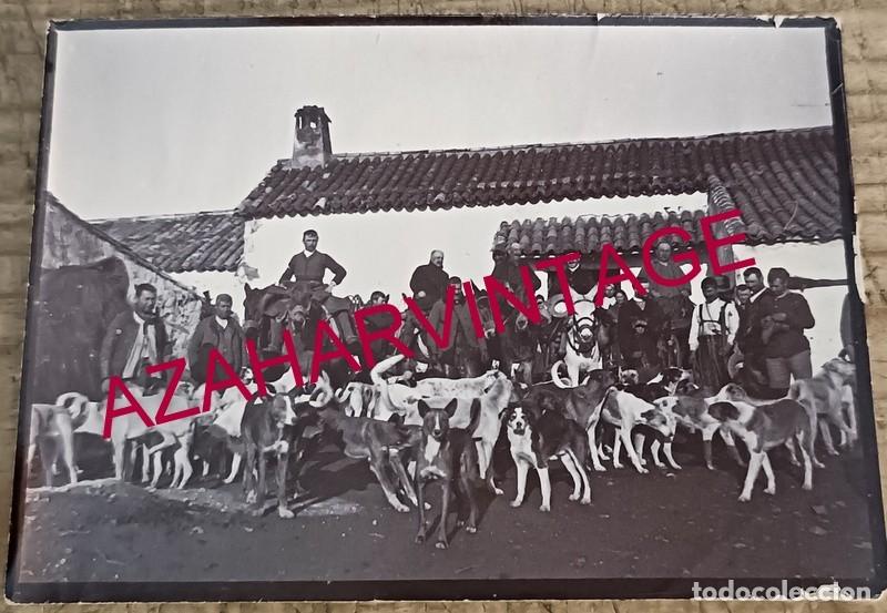 Antique Photography: SIGLO XIX, PRECIOSA ALBUMINA DE UNA MONTERIA, 90X65MM