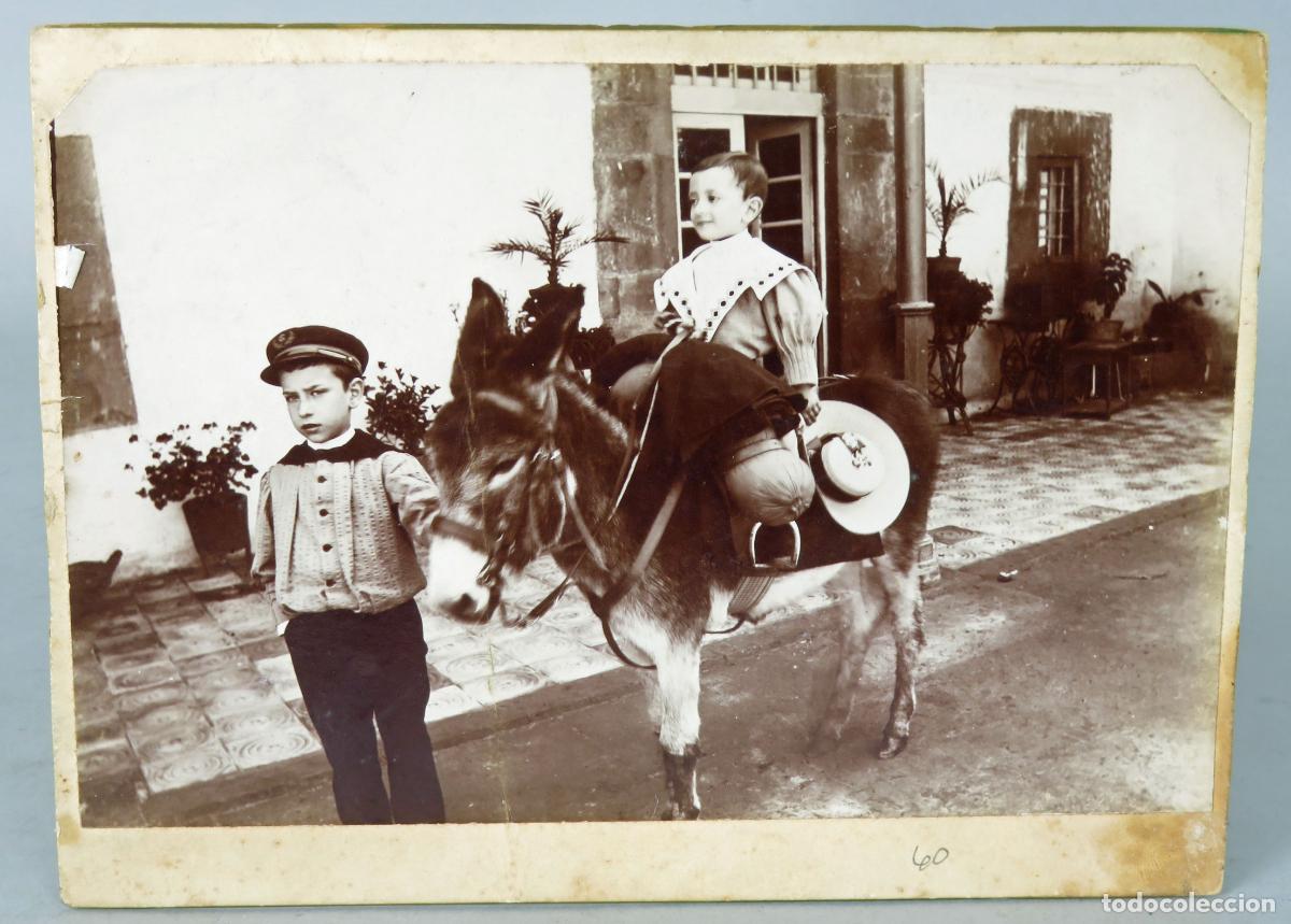 Fotografia antica: Fotograf&iacute;a alb&uacute;mina costumbrista ni&ntilde;o montado en burro sin nombre estudio 1897 Finales S XIX