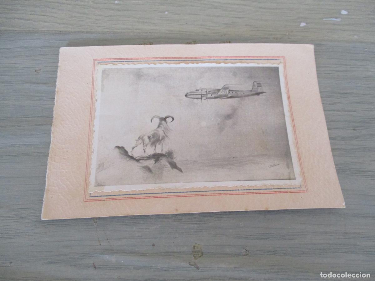 Antique Photography: FOTO PEGADA A UNA CARTULINA- 8.5 X 13 CM. (LA CARTULINA)- S/F. NI OTROS DATOS