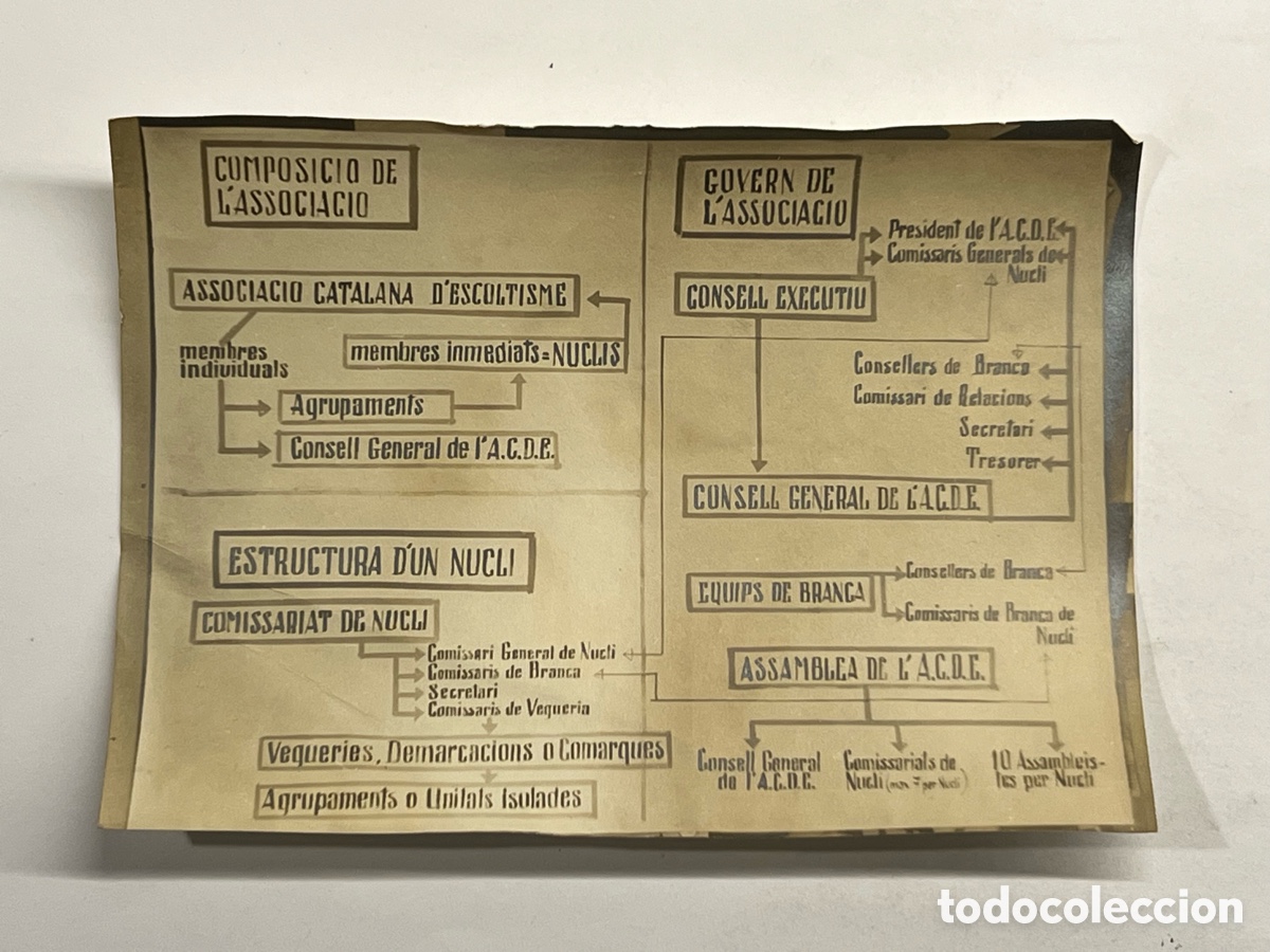 Fotografia antica: ASSOCIACIO CATALANA D'ESCOLTISME. COMPOSICIO DE LASSOCIACIO&hellip; Fotografia (h.1950?)