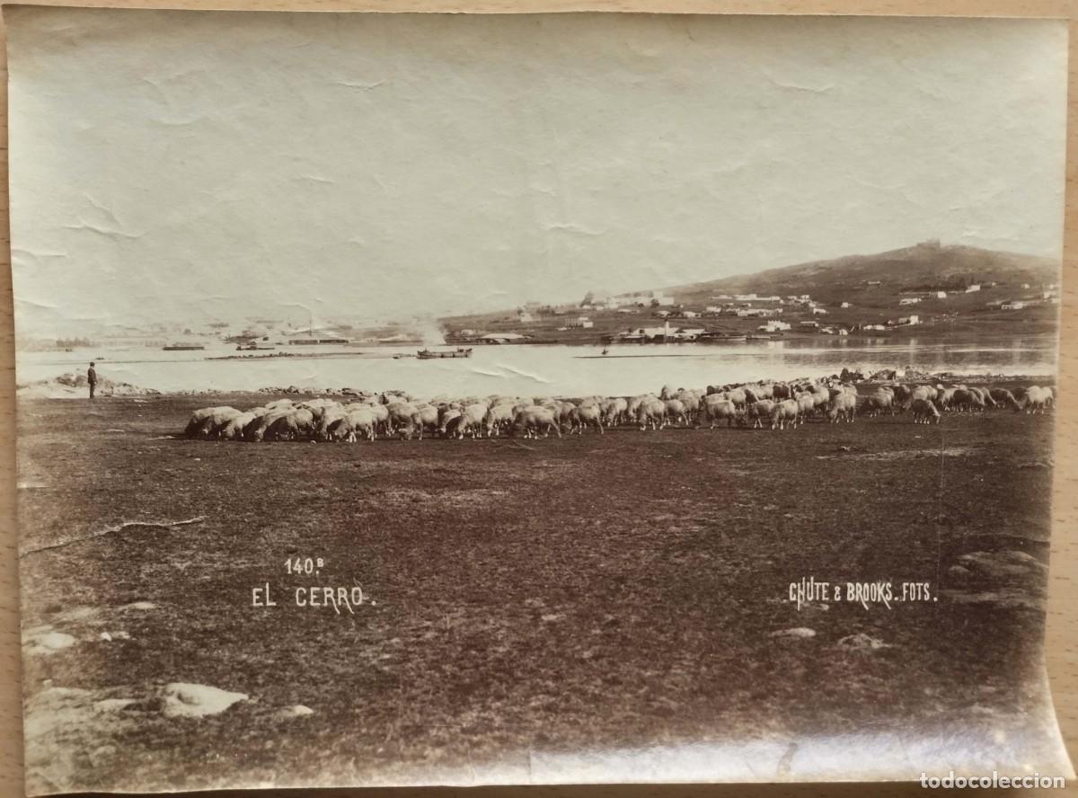 Fotografia antica: Foto Alb&uacute;mina El Cerro De Montevideo Chute & Brooks Fot&oacute;grafos Ca. 1890