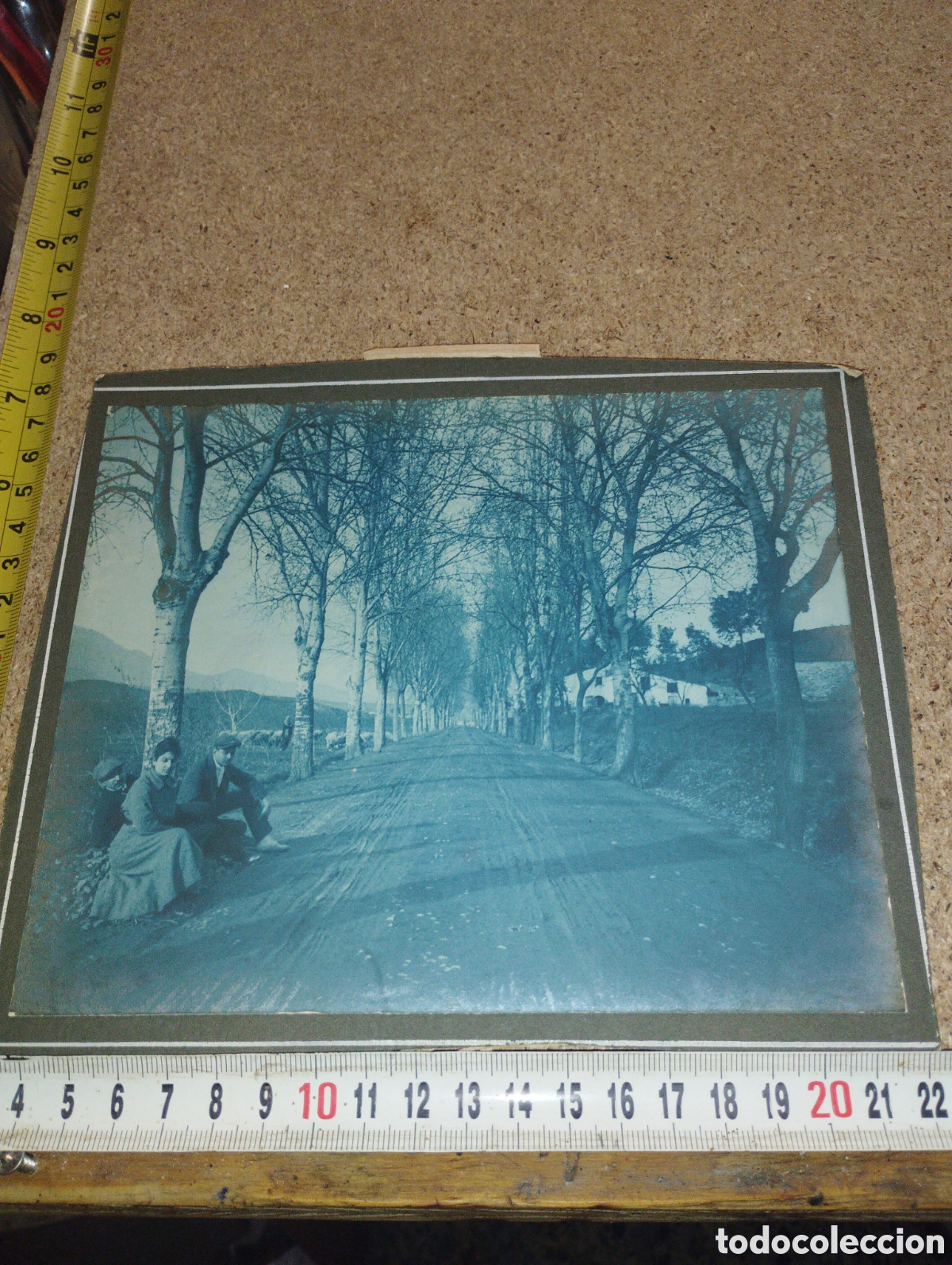 Antique Photography: Fotograf&iacute;a en el campo con las ovejas y la mas&iacute;a