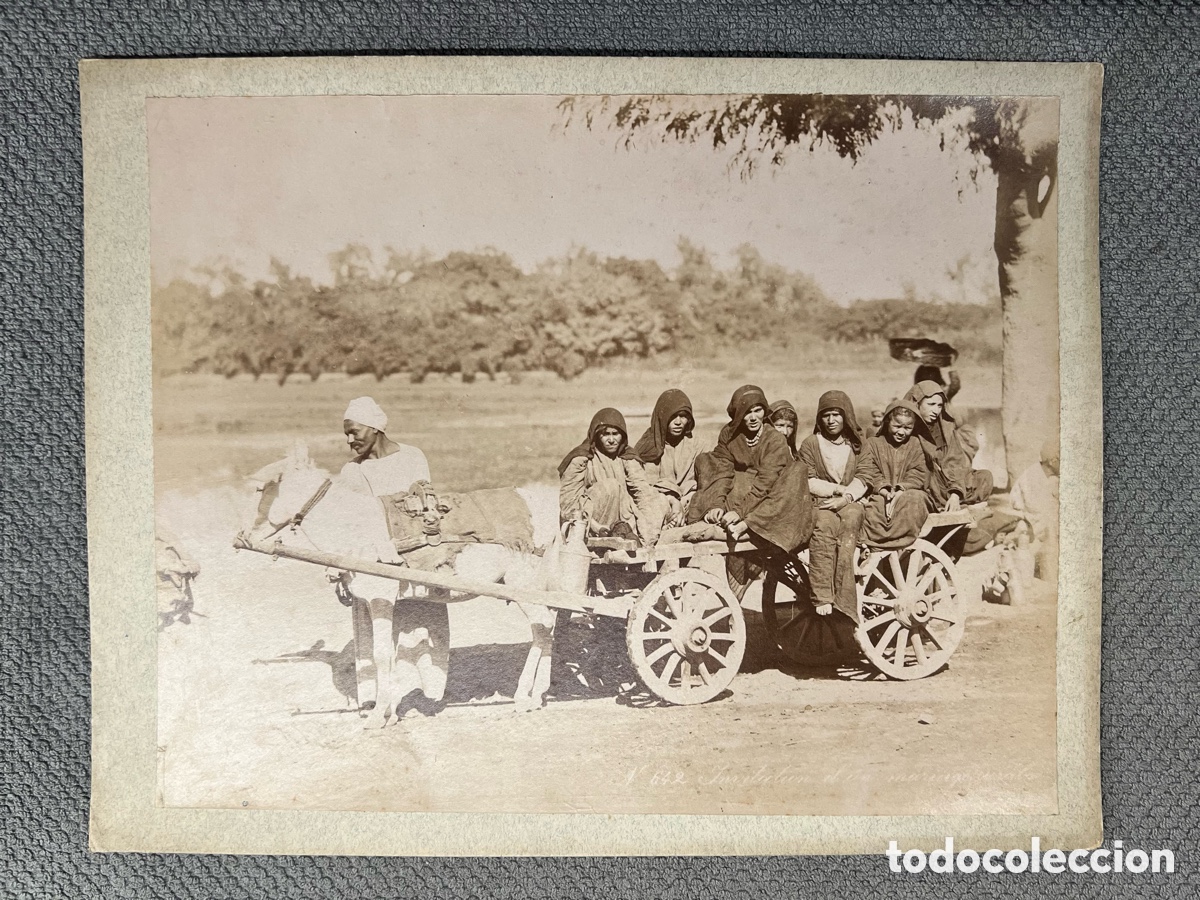 Fotografia antica: EGIPTO. Fotograf&iacute;a Invitaci&oacute;n a una Boda &Aacute;rabe&hellip; (h.1890?) Med&iacute;das: 24,5 x 31,5 cm.