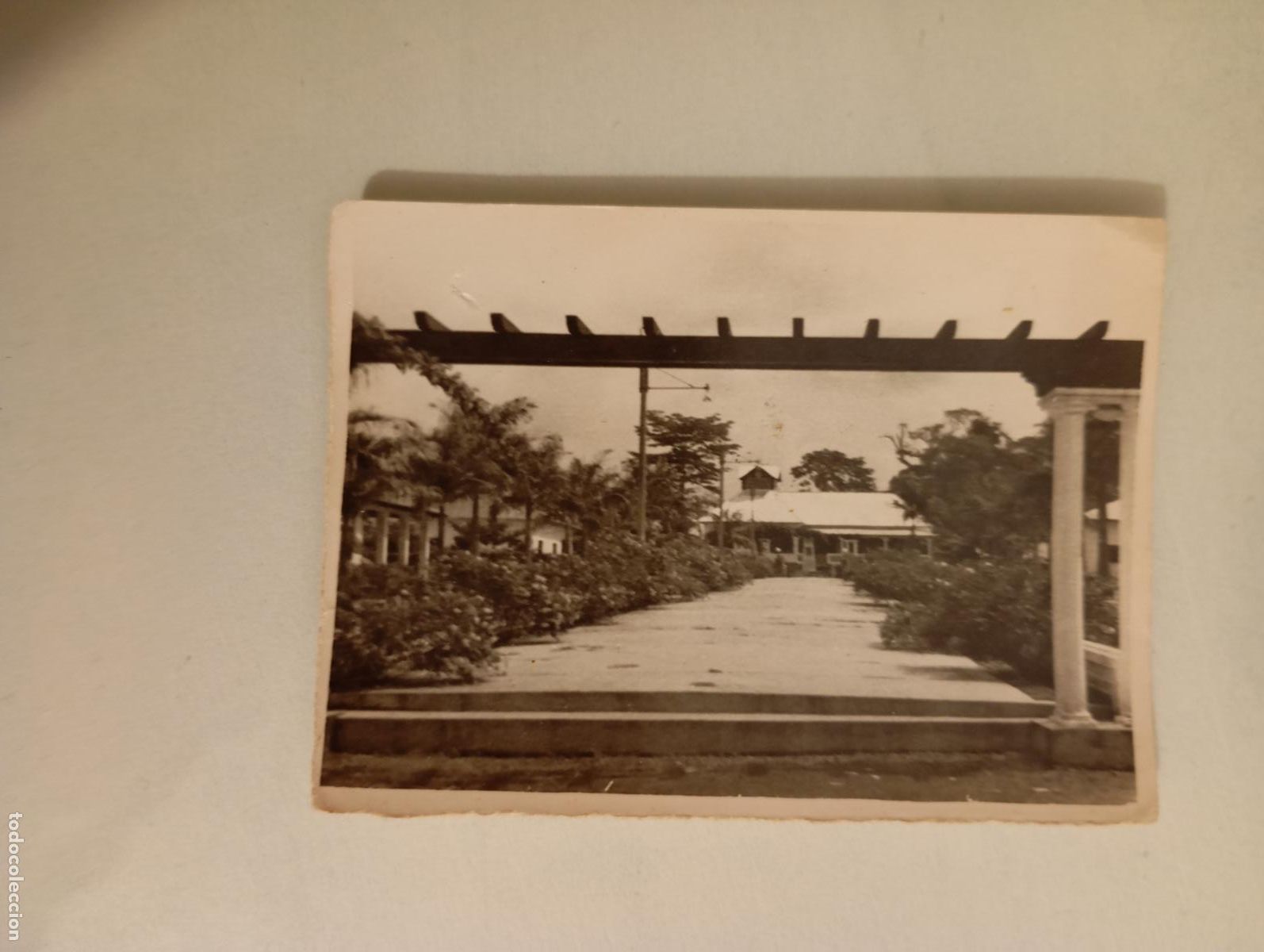 Fotografia antiga: ANTIGUA FOTOGRAF&Iacute;A ESPACIO AJARDINADO. TDKP21M