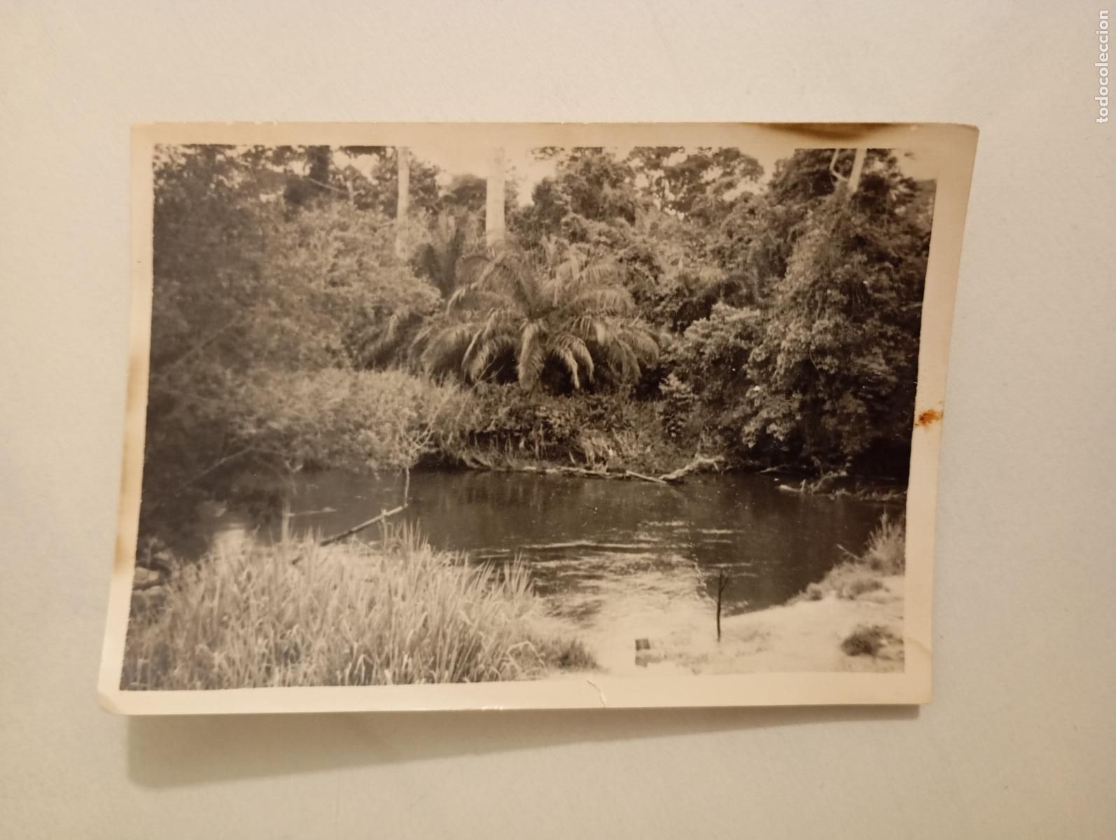 Fotografia antiga: ANTIGUA FOTOGRAF&Iacute;A LAGO O R&Iacute;O. TDKP21M
