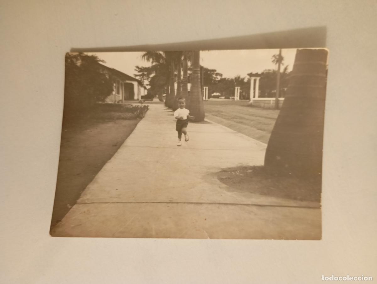 Antique Photography: ANTIGUA FOTOGRAF&Iacute;A NI&Ntilde;O EN UN PASEO CON &Aacute;RBOLES. TDKP21M