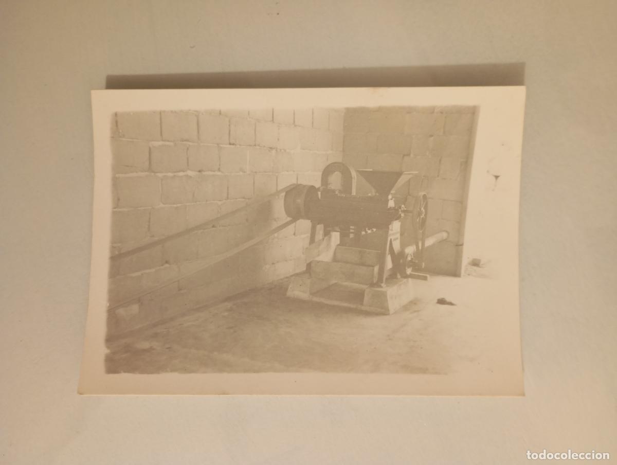Fotografia antica: ANTIGUA FOTOGRAF&Iacute;A. TDKP21M