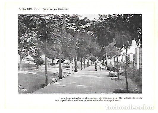Fotografia antica: FOTOTIPIA DE LORA DEL RIO. PASEO DE LA ESTACION (SEVILLA). FOTOTIPIA-0027