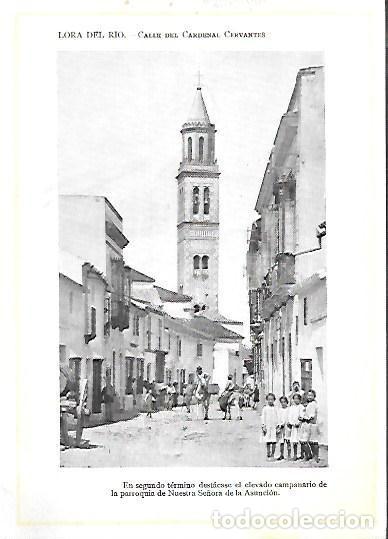 Fotografia antica: FOTOTIPIA DE LORA DEL RIO. CALLE DEL CARDENAL CERVANTE(SEVILLA). FOTOTIPIA-0059
