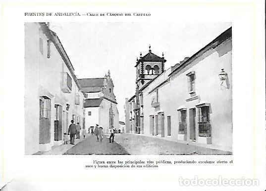 Fotografia antica: FOTOTIPIA DE FUENTES DE ANDALUCIA. CALLE DE CANOVAS DEL CASTILLO. FOTOTIPIA-0069