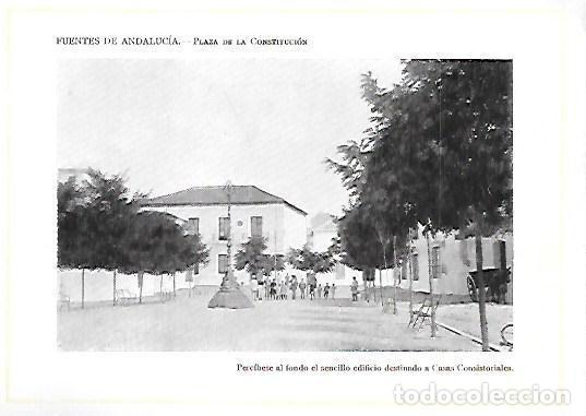 Fotografia antica: FOTOTIPIA DE FUENTES DE ANDALUCIA. PLAZA DE LA CONSTITUCION. FOTOTIPIA-0070
