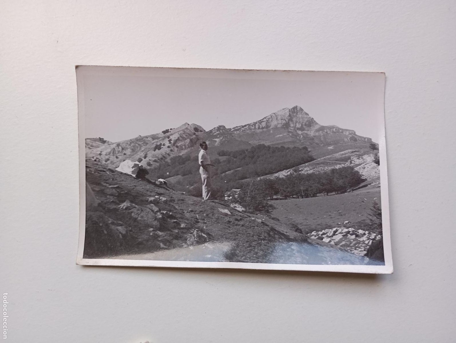 Fotografia antiga: ANTIGUA FOTOGRAF&Iacute;A LUGAR DE MONTA&Ntilde;A VASCA. TDKP21S