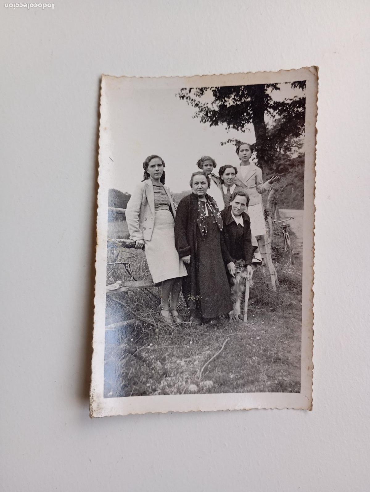 Fotografia antiga: ANTIGUA FOTOGRAF&Iacute;A MUJERES POSANDO EN PRADERA. TDKP21S