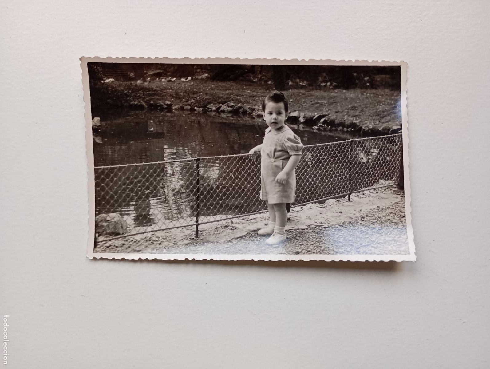 Fotografia antiga: ANTIGUA FOTOGRAF&Iacute;A NI&Ntilde;O EN ESTANQUE. TDKP21S