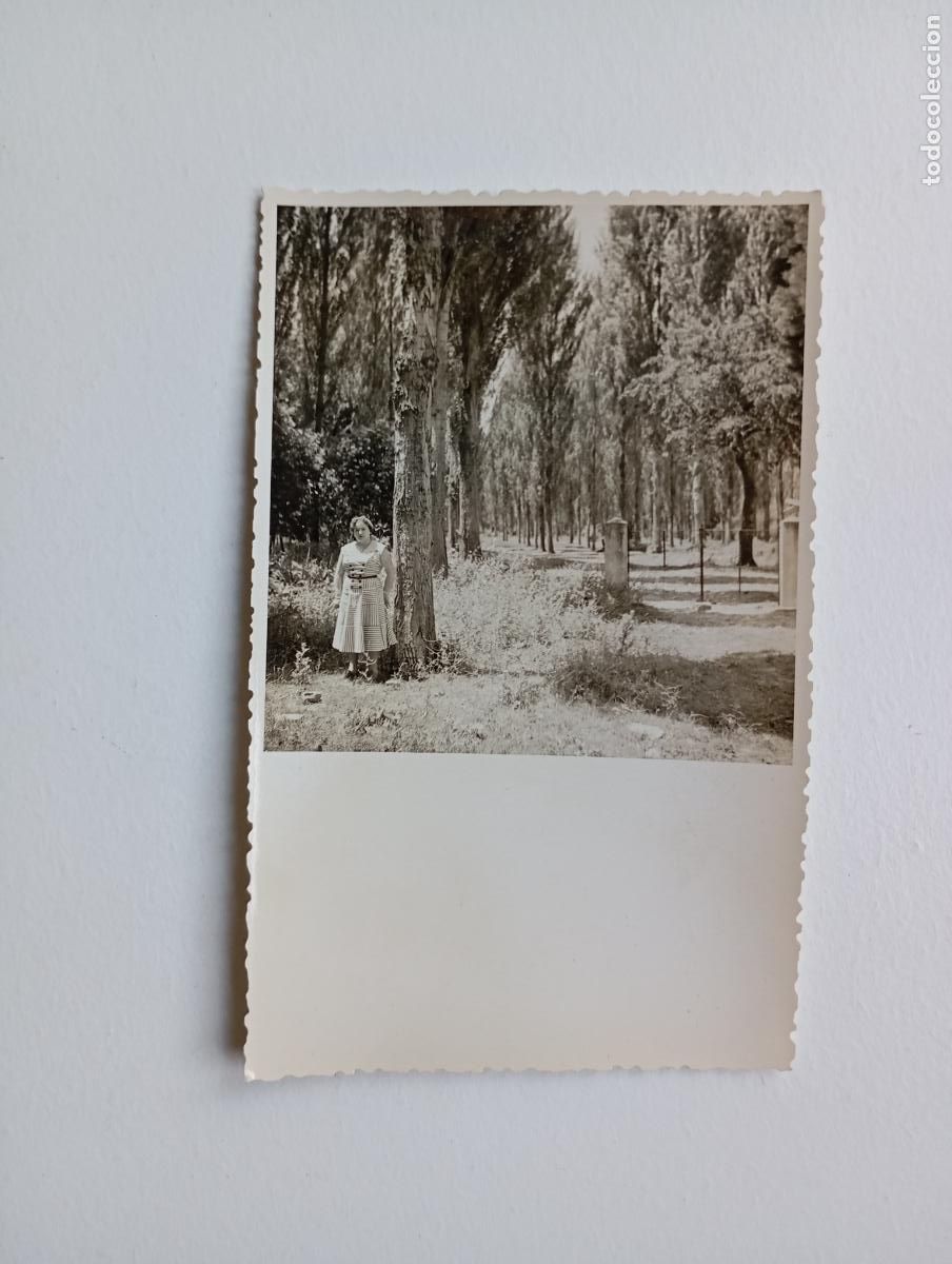 Antique Photography: ANTIGUA FOTOGRAF&Iacute;A MUJER Y &Aacute;RBOLES. TDKP21T