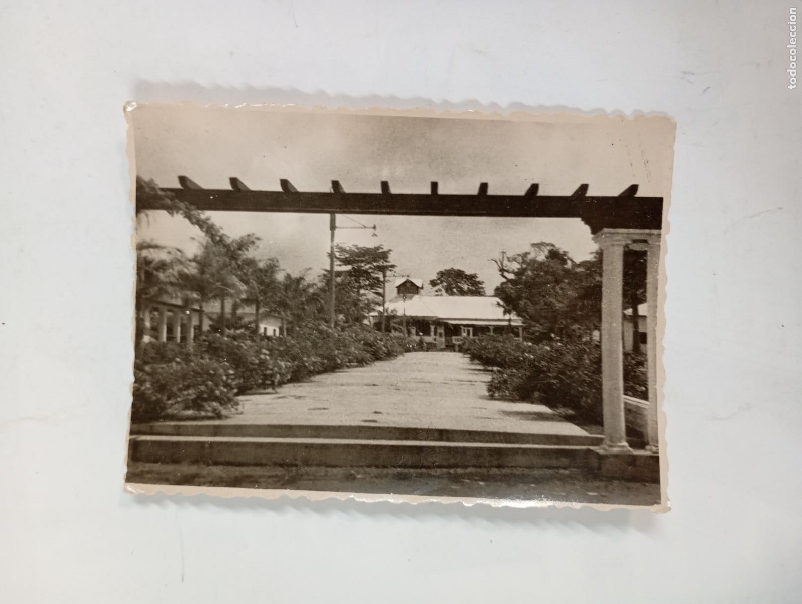Fotografia antiga: ANTIGUA FOTOGRAF&Iacute;A PARQUE Y EDIFICIO. TDKP26V