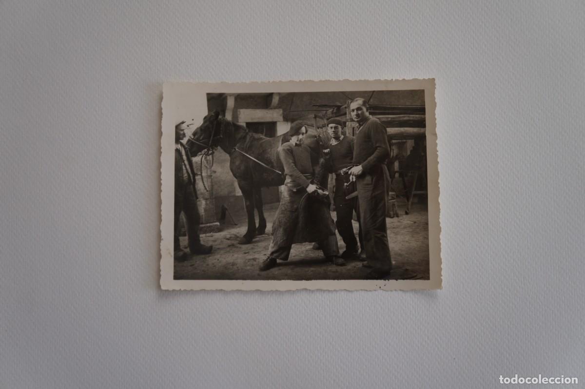 Fotografia antica: Fotograf&iacute;a antigua en blanco y negro. Varios hombres herrando un caballo. Francia.