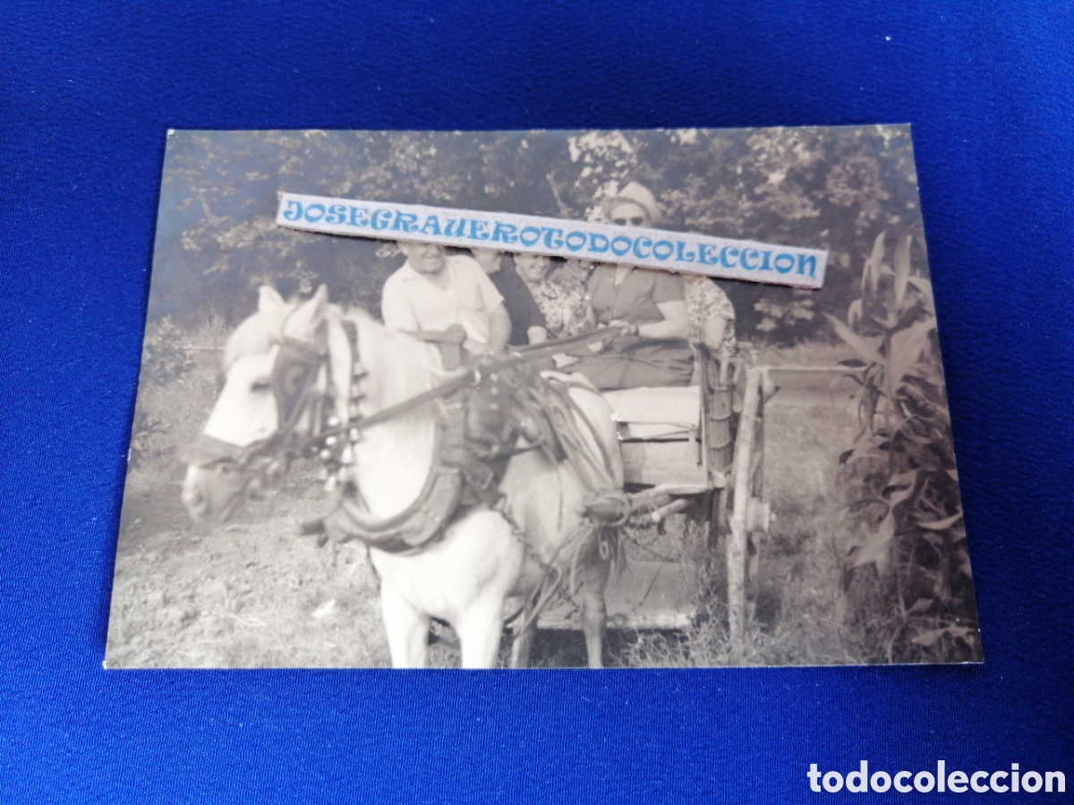 Fotografia antica: BENIFAYO - CARRO CON CABALLO Y MODELOS FOTOGRAF&Iacute;A ANTIGUA SIGLO PASADO SELLO LABORATORIOS ESCUDER