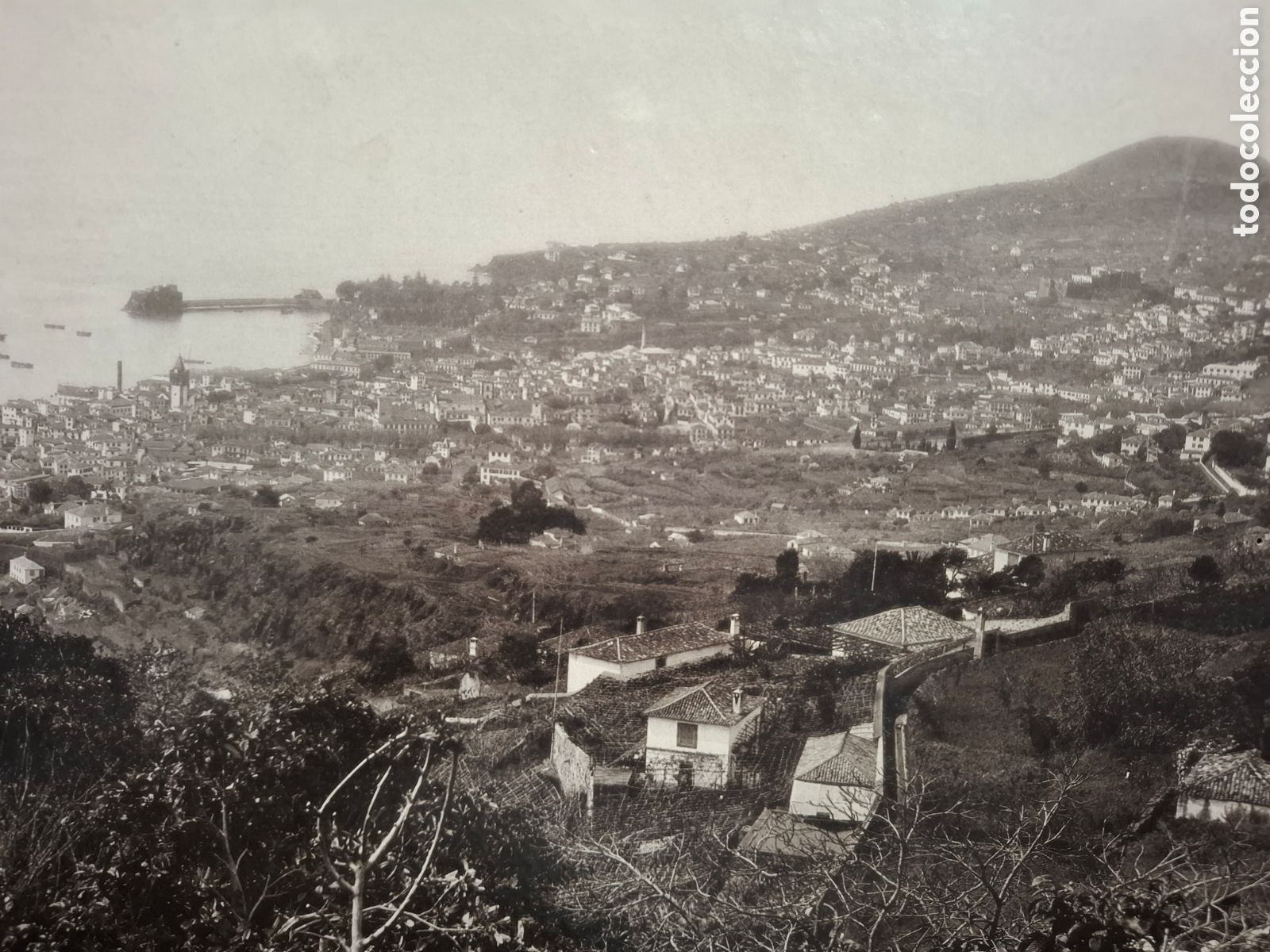 Antique Photography: MADEIRA.FUNCHAL.10018.FROM N.E.29&acute;5 CM X 26 CM. MONTADA SOBRE CARTON. FOTOGRAFIA ANTIGUA