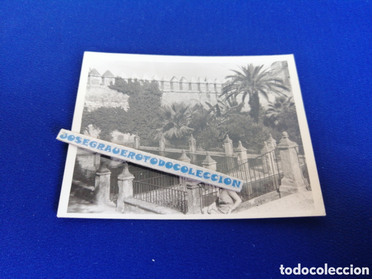 Fotograf&iacute;a antigua: ALCAZAR ANDALUSI (C&Oacute;RDOBA) A&Ntilde;O 1965 FOTOGRAF&Iacute;A ANTIGUA SIGLO PASADO