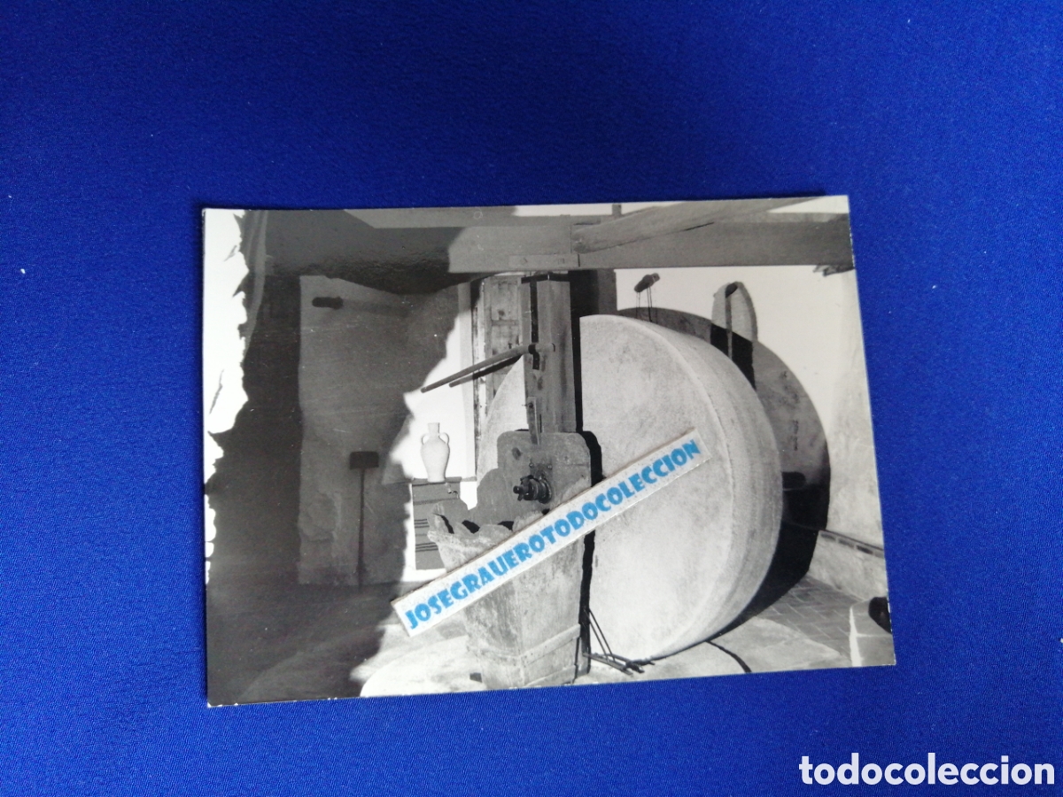 Fotografia antica: RUEDA DE MOLINO FOTOGRAF&Iacute;A ANTIGUA SIGLO PASADO