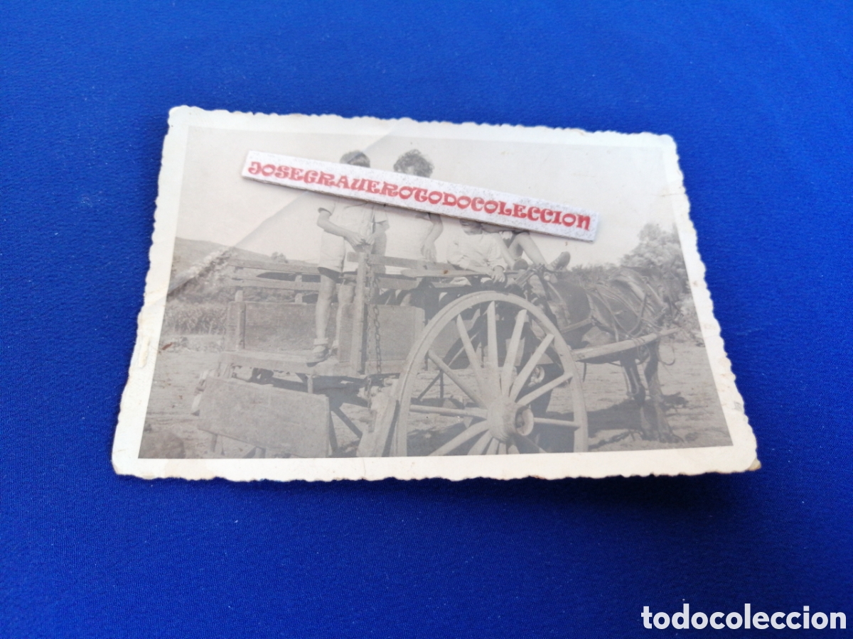 Antique Photography: NI&Ntilde;OS MODELOS EN CARRO CON CABALLO A&Ntilde;O 1938 FOTOGRAF&Iacute;A ANTIGUA SIGLO PASADO