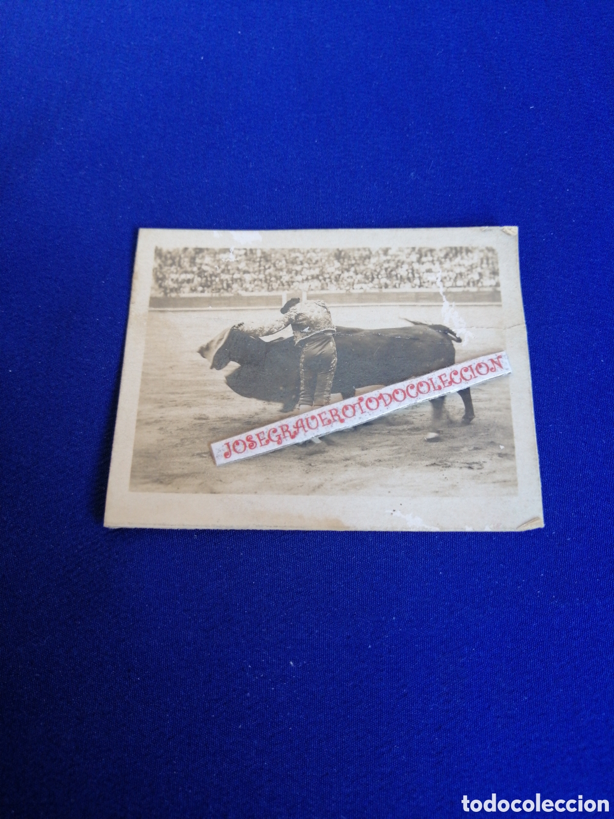 Antique Photography: TORERO PLAZA DE TOROS CON TORO FOTOGRAF&Iacute;A ANTIGUA SIGLO PASADO